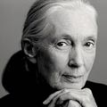 jane-goodall