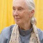 Jane Goodall