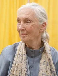 Jane Goodall - Portrait photograph